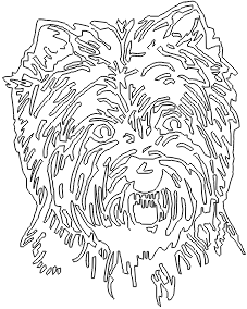 14A221