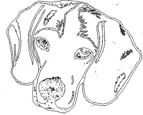 14A268