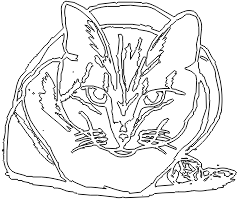 14A269