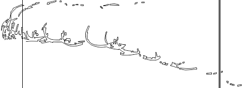 14M019