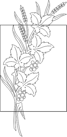 14N077