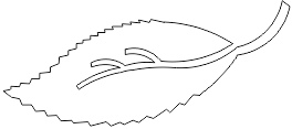 14N126