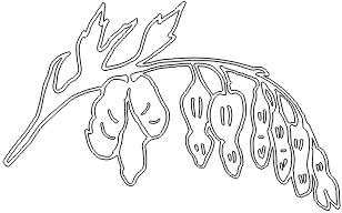 14N129