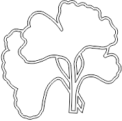 14N144