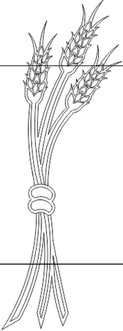 14N196