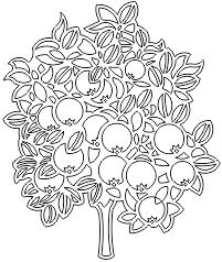 14N200