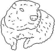 15A159