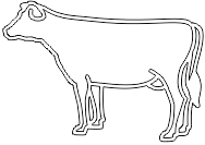 15A234