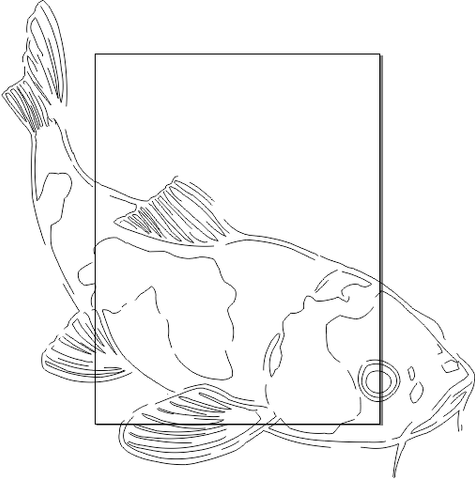 15A237