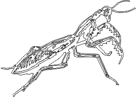 15A256