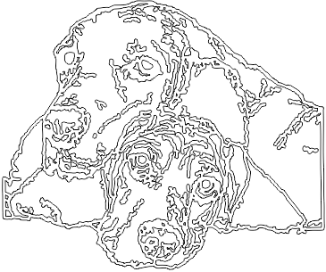 15A257