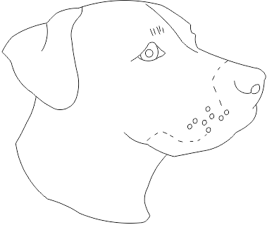 15A269