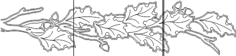 15N006