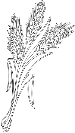 15N013