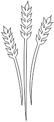 15N020