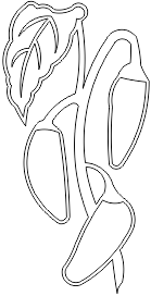 15N056