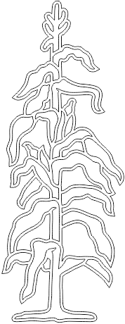 15N060