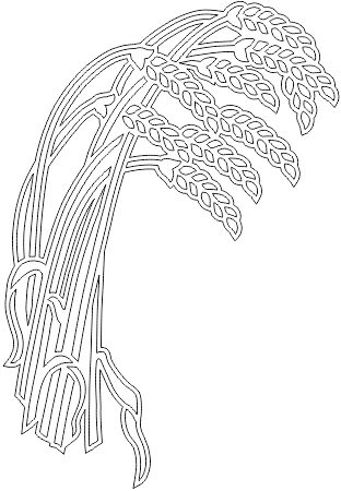 15N061