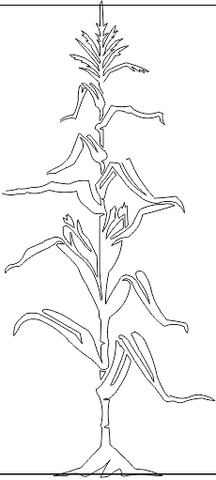 15N100