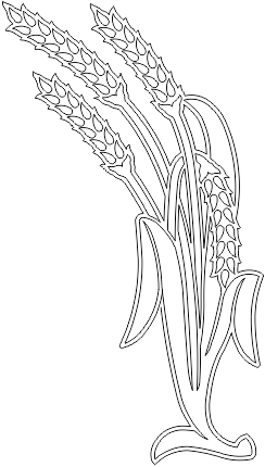 15N116