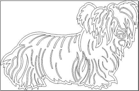 5A017