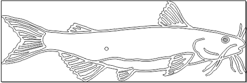 5A019