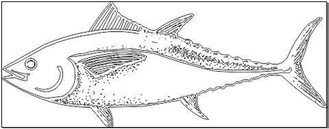 5A060