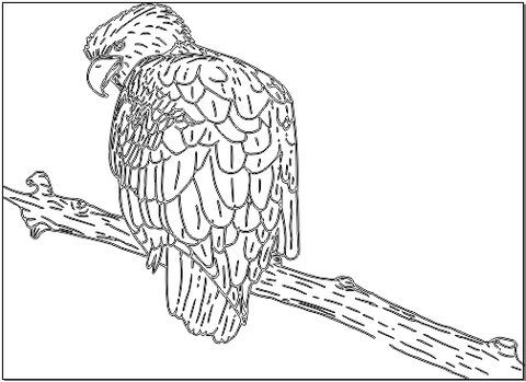 5A181