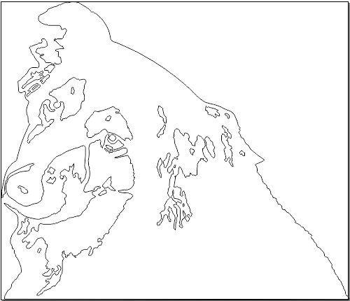5A196