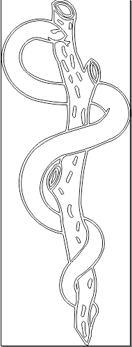 5A233