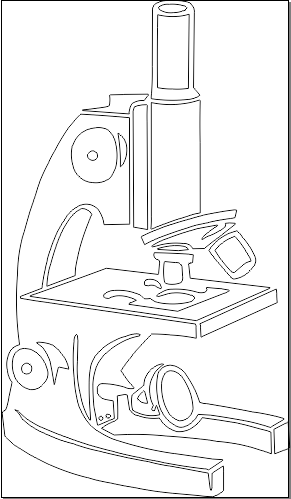 5C024