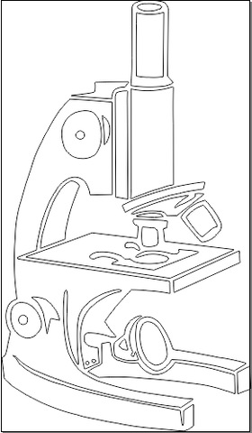 5C024