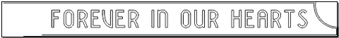 5M131