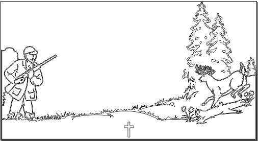 5N003