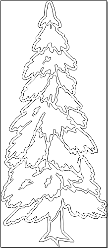 5N006