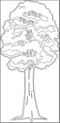 5N070