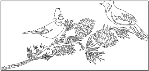 6A003