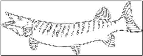 6A065