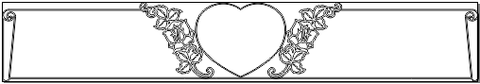 6M428