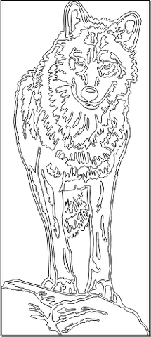 7A033