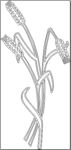 7M617