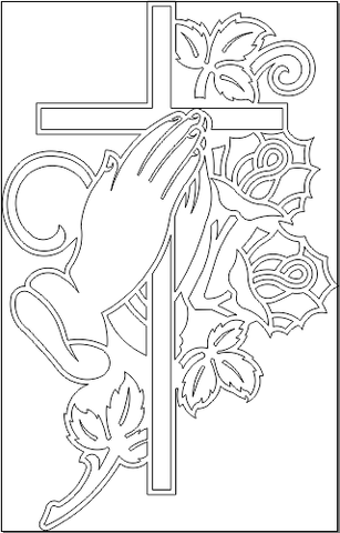 7R206