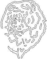 8A062