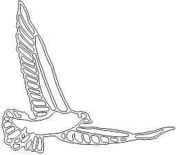 8A097