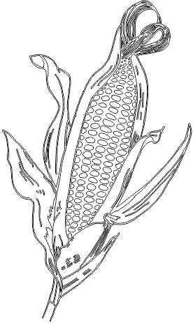 8M054