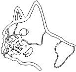 9A036