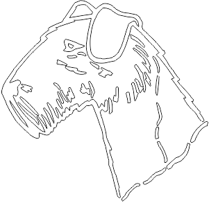 9A037