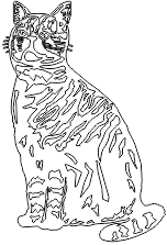 9A061