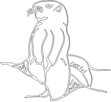 9A115