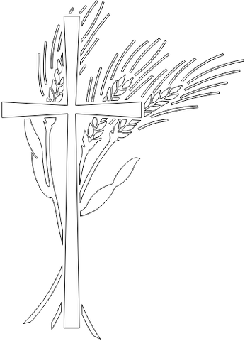 9R206
